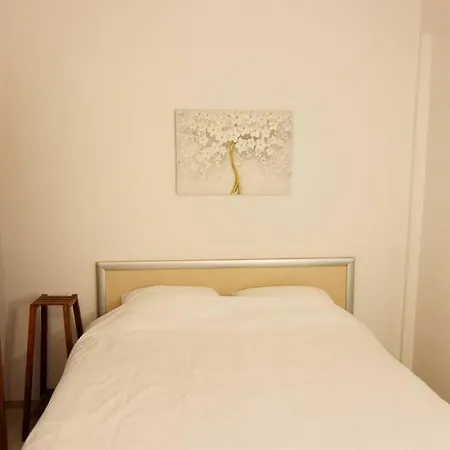 Apartment Geni - Center Of Close To The Fast Wi-fi Netflix